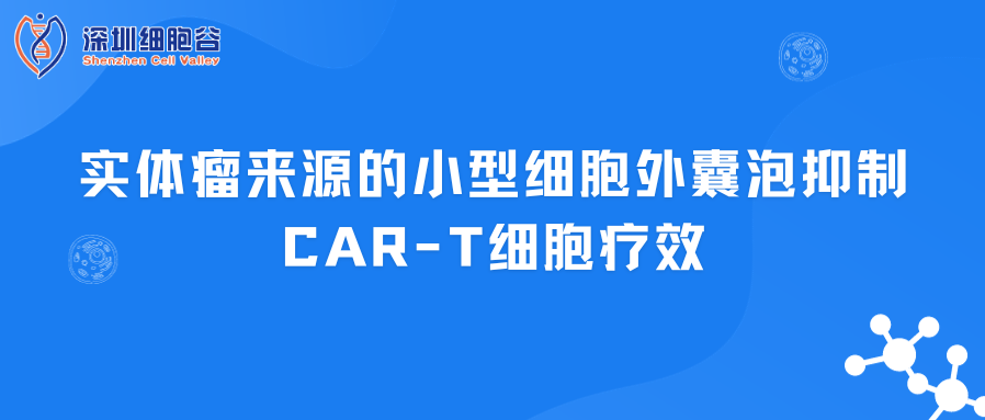 实体瘤来源的小型细胞外囊泡抑制CAR-T细胞疗效