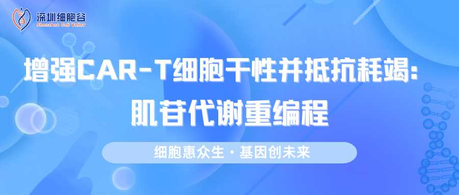 增强CAR-T细胞干性并抵抗耗竭：肌苷代谢重编程