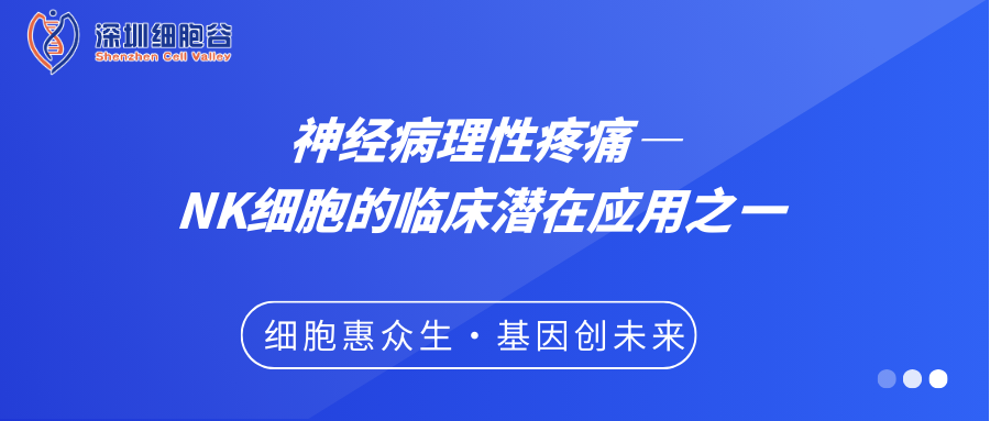 神经病理性疼痛——NK细胞的临床潜在应用之一