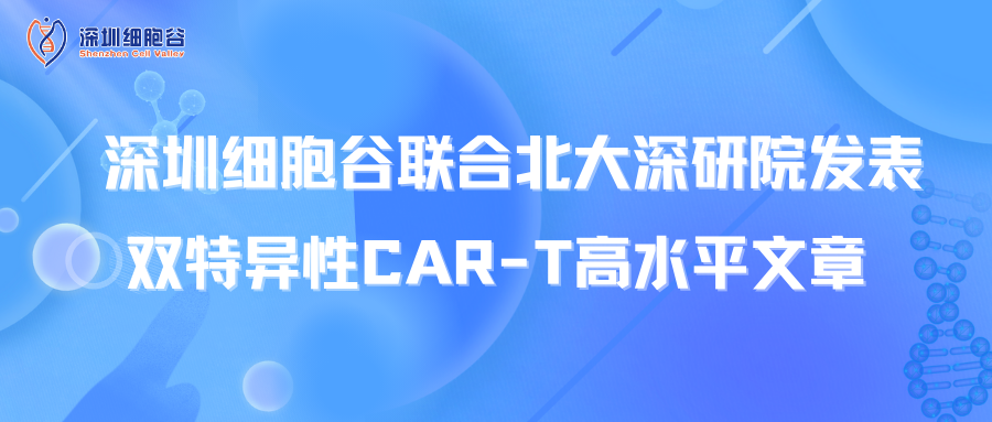 喜讯丨深圳乐天堂fun88联合北大深研院发表双特异性CAR-T高水平文章