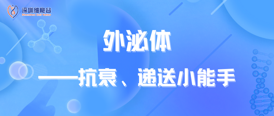 外泌体——抗衰、递送小能手