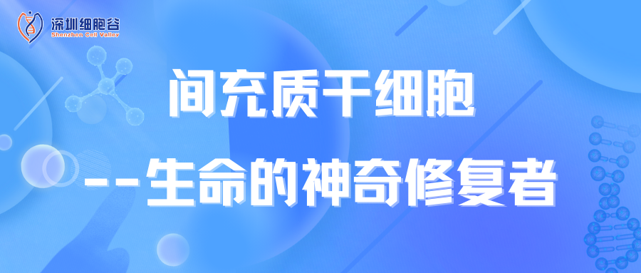 间充质干细胞--生命的神奇修复者