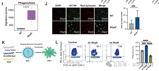 1774517651.png 图片.png